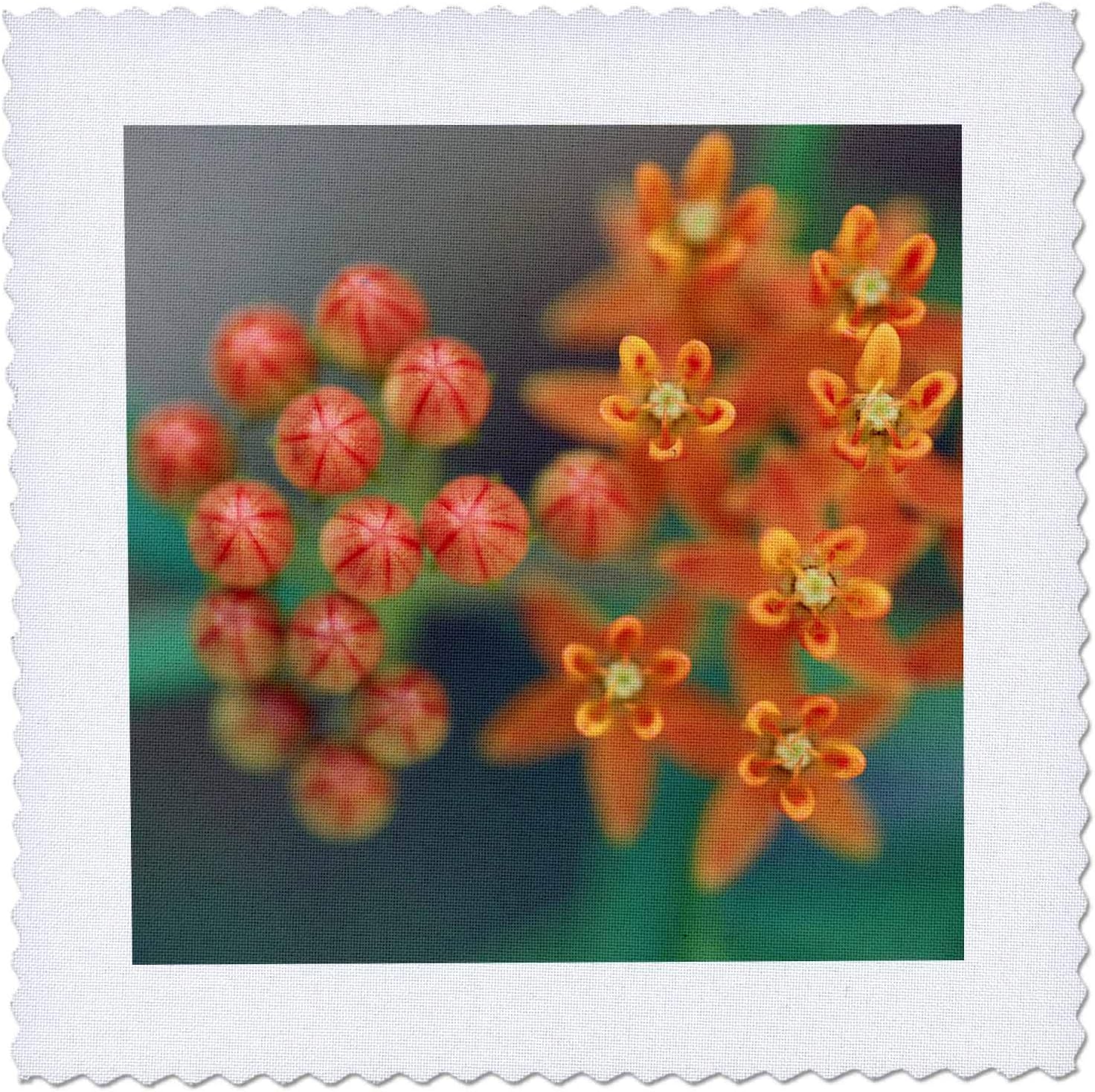 10x10 inch Quilt Square, Top View Macro Photo of Orange Flowers of a