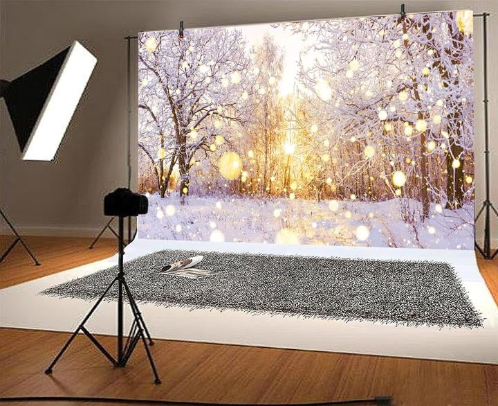 Aperturee Beautiful Snow Scene Photo Booth Fabric Backdrop
