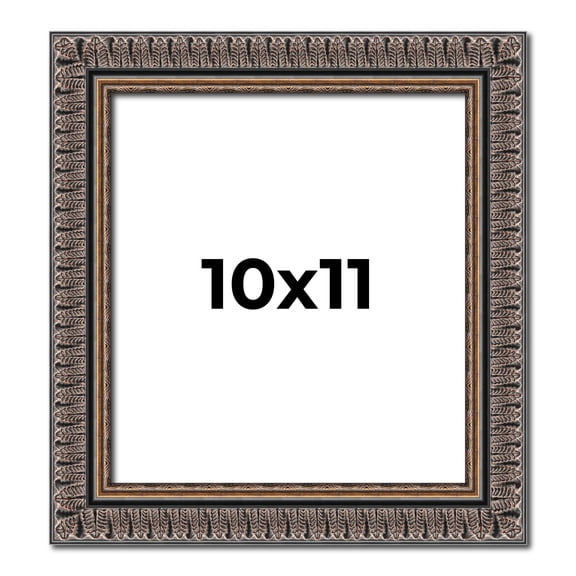 10x11 Frame Black Feather Payton Ornate Solid Wood Picture Frame Width 1.75 Inches | Interior Depth