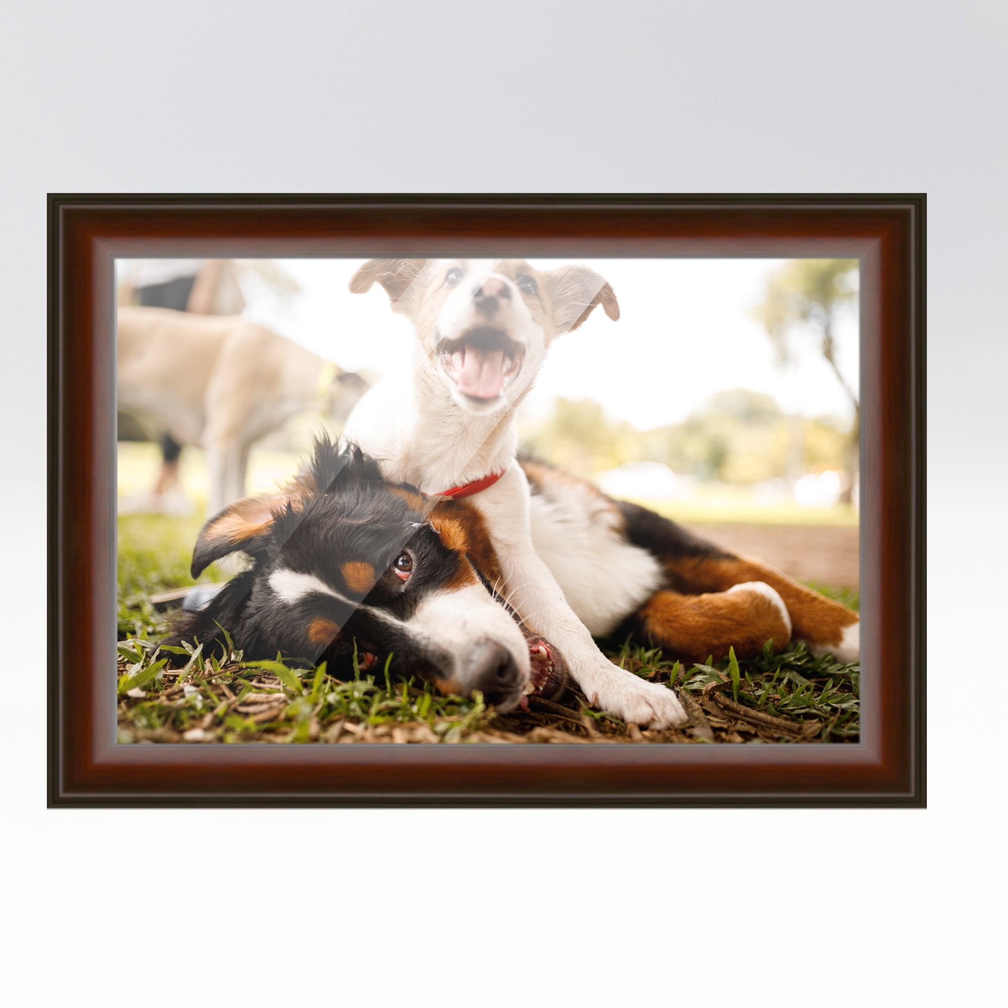 10x11 Picture Frames White Wood 10x11 Frame