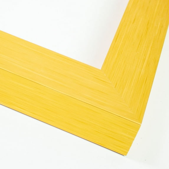 10x18 Frame Gold Solid Wood Shadow Box Width 1.625 Inches | Interior Frame Depth 1 Inches | Ashwin