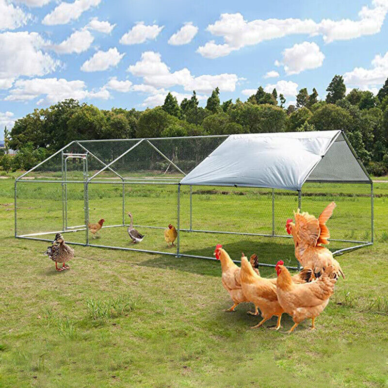 10x20ft Walkin Metal Large Chicken Coop Hen House Run Rabbit Cage