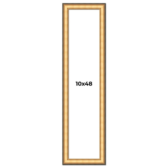 10x48 Frame Gold Plein Aire Solid Wood Picture Frame Width 2 Inches | Interior Frame Depth 0.5