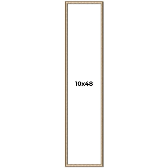 10x48 Frame Silver Real Wood Picture Frame Width 0.75 Inches | Interior Frame Depth 0.5 Inches |