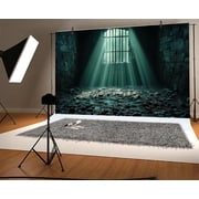 10x8ft Medieval Castle Dungeon Photography Backdrop, Ancient Jail Cell Stone Caves Prison Sunlight Though Window Background, Creepy Cellar Theme Party Decorations Backdrop Photo Studio Props