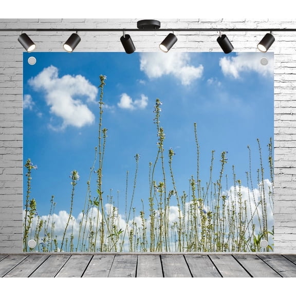 10x8ft Refreshing Wildflower Blue Sky Backdrop Photoshoot Photo Backdrop Nature Scenery Background for Theme Party Wedding Birthday Baby Shower Decoration Banner Photo Booth Studio Props
