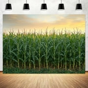 10x8ftCorn Stalks Photo Backdrop Photography Background, Green Outdoor Tall Fake Cornfield Maize Countryside Harvest Farm Party Backdrops Photo Booth Prop Decorations Wall Decor Tablecloth
