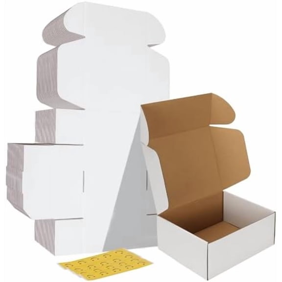 10x8x4 inches Shipping Boxes Set of 20, White Corrugated Cardboard Box Literature Mailer