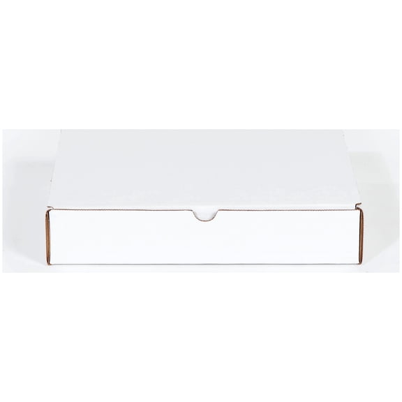 11 1/8 x 8 3/4 x 2 5/16" Protective Literature Mailer 32ECT 50 Pack