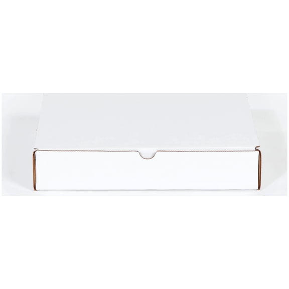11 1/8 x 8 3/4 x 4" Protective Literature Mailer ECT-32 50 Pack White
