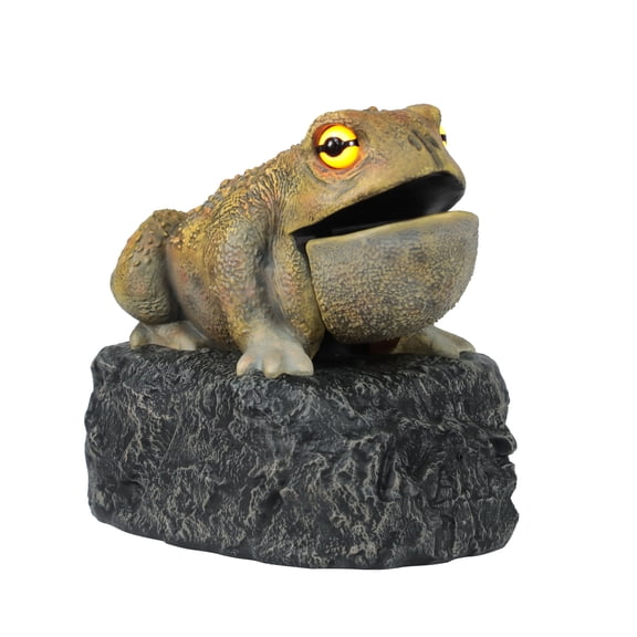 11.25" LED Animated Croaking Toad by Ashland