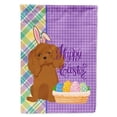 thumbnail image 1 of 11.25 x 15.5 in. Ruby Cavalier Spaniel Easter Garden Flag, 1 of 1