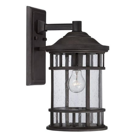 11.25 x 6.5 x 8.25 in. Vista II 1-Light Black Coral Wall Light
