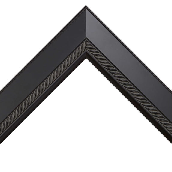 11.7x16.5 Traditional Black Picture Frame - UV Acrylic, Foam Board Backing, Hanging Hardware