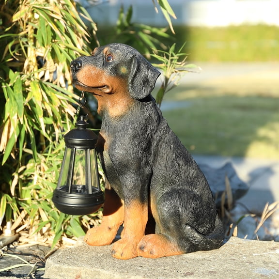 11.8 Inch Rottweiler Garden Statue with Solar Lantern  Lifelike Resin Statue, Decor for Patio, Lawn & Outdoor Spaces