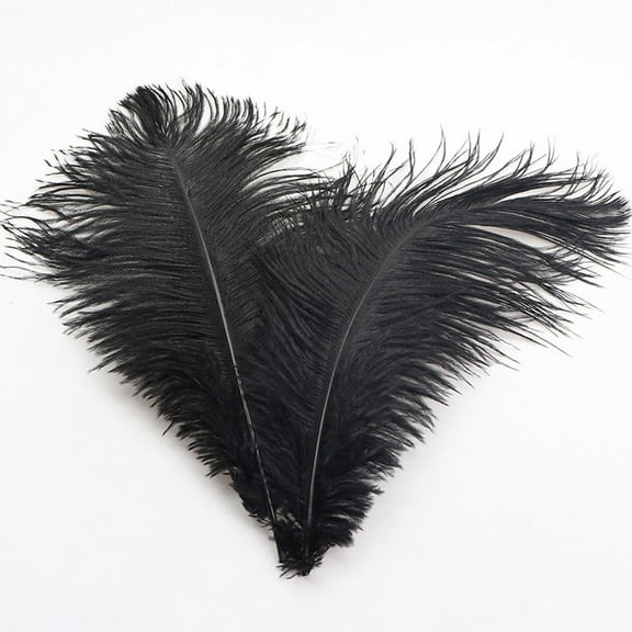 11.9-13.8 Inches Ostrich Feathers for Crafts Dreamcatcher Fringe Trim Colored Feathers Accessories Pack Black