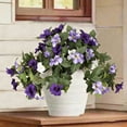 thumbnail image 1 of 11 Branch Morning Glory Vine for Outdoor Decoration, 1PCS Artificial Fake Flower UV Resistant No Fade Floral for Home Outside Garden Balcony Yard Porch Realistic Indoor Decor (Purple and white), 1 of 9
