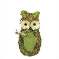 thumbnail image 1 of 11" Brown and Green Decorative Owl Spring Table Top Figure, 1 of 1
