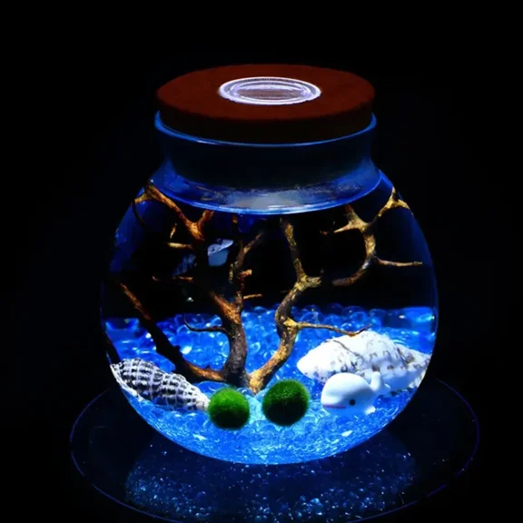 11 CM Round Glass Jar Terrarium with Colorful LED Light Cork Micro Landscape Ecological Bottle Night Lights