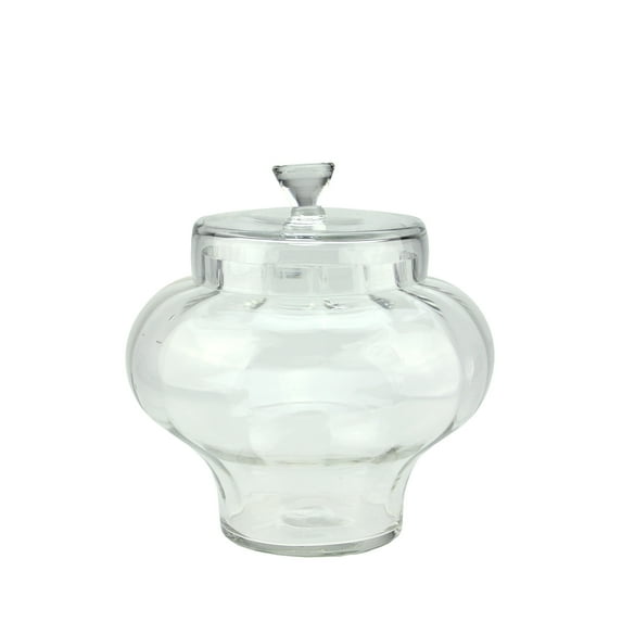 11" Clear Transparent Segmented Glass Container with Lid
