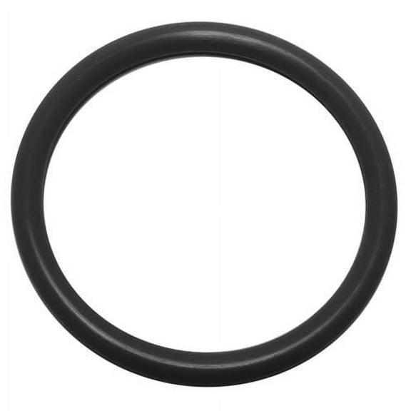 11'' Diameter -379 Chemical-Resistant High-Temperature O-Rings (1 EA per Pack)