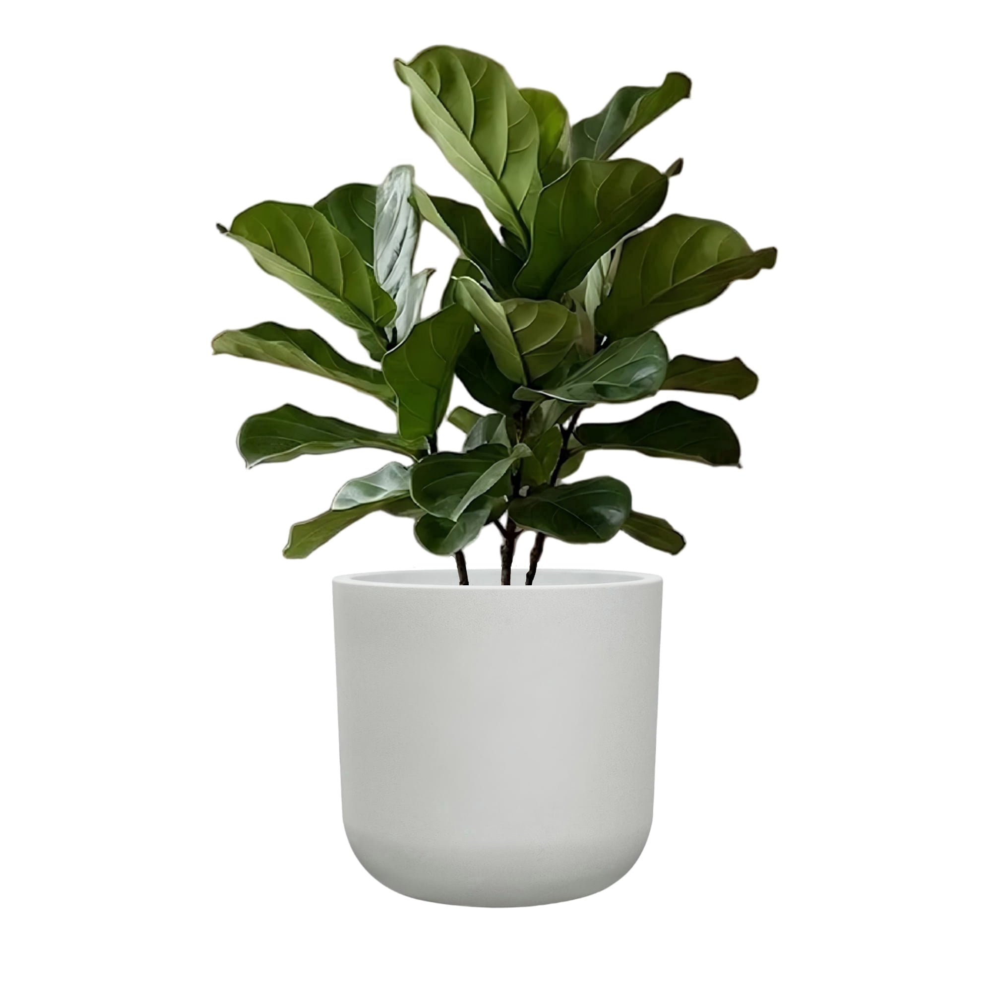 STONE LITE 11.6" x 11.6" x 11" Cylindrical White Plastic Plant Pot with Drainage