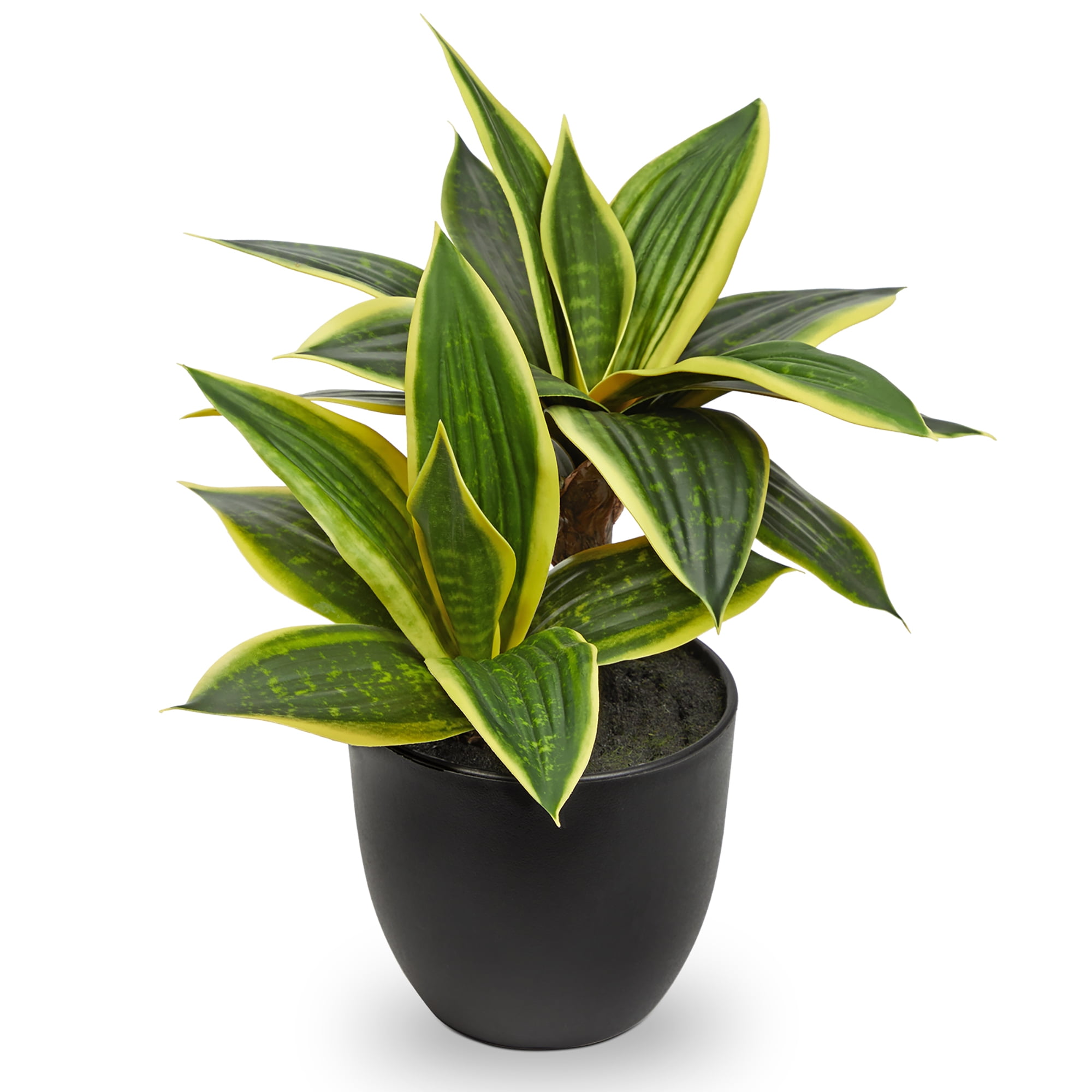 11 Inch Artificial Snake Plants in Pots Fake Tropical Sansevieria Small Potted Plants Desk Table Top Decor 20 Leaves Fake Laurentii Indoor Outdoor Home Decor Fischeri