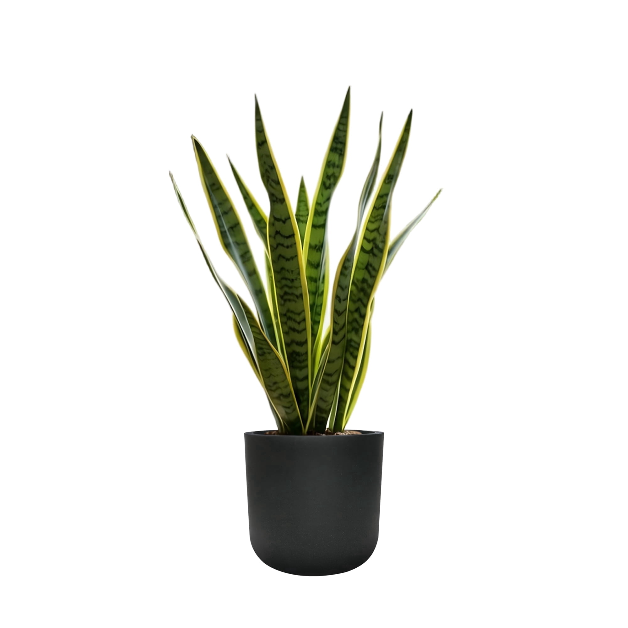 STONE LITE 11.6" x 11.6" x 11" Cylinder Black Plastic Planter Pot with Drainage Holes and Plug