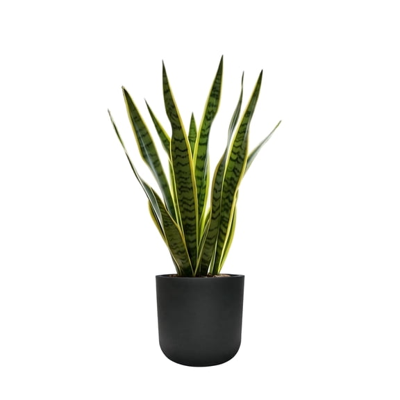 STONE LITE 11.6" x 11.6" x 11" Cylinder Black Plastic Planter Pot with Drainage Holes and Plug