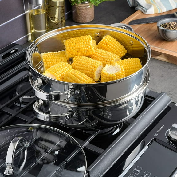 11-Inch Stainless Steel Cookware Pan with Steamer and Lid