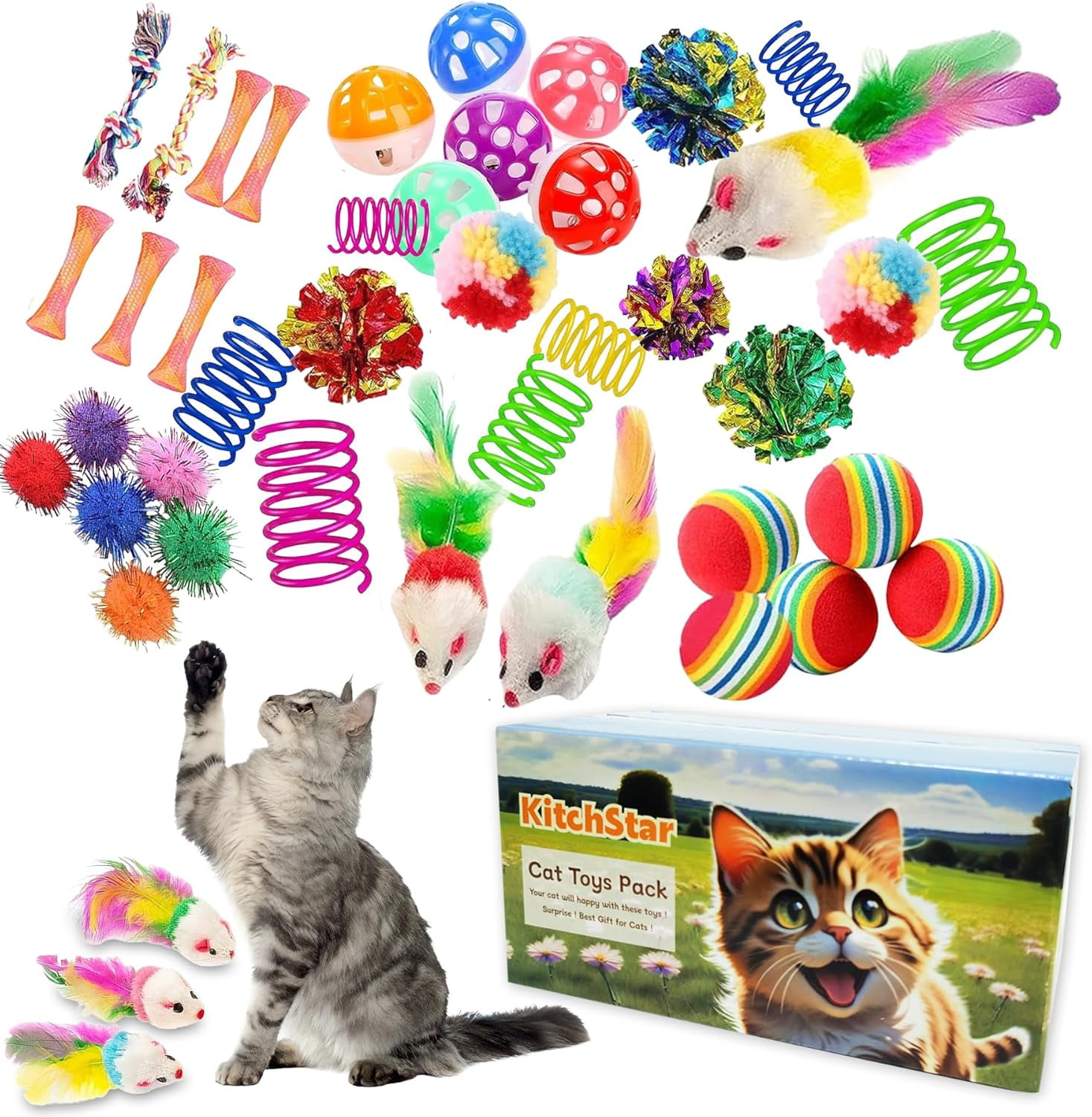 11 PCS Interactive Cat Toy for Indoor Cats, Kitten Toys with 4 Hanging Door Cat Toys and 7 Multiple Replacement Heads for Indoor Self Play & Exercise