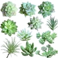 thumbnail image 1 of 11 Pcs Mixed Unpotted Faux Various Succulent Assortment,Realistic Mini Artificial Succulents Textured in Different Type Different Size-Echeveria Agave Floral Arrangement,DIY, 1 of 9