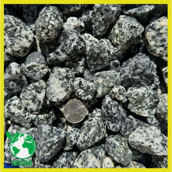11 Pounds of Big Dalmatian Stones 1" to 2" Size, Rocks Gravel Pebbles for Landscaping, Terrariums, Aquariums, Gardens, Pond Water Features, Flower Pots, Decorative Walkways, Bonsai, Fairy, Crafts