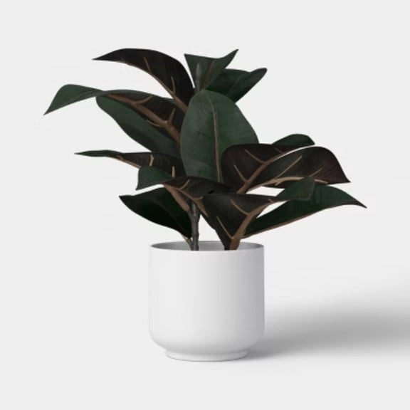 11" Rubber Leaf Plant