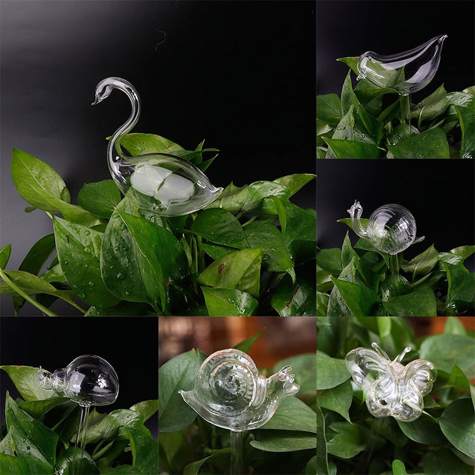 11 Types Glass Plant Flowers Water Feeder Automatic Self Watering