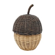 11" Willow Acorn Tabletop D cor by Ashland
