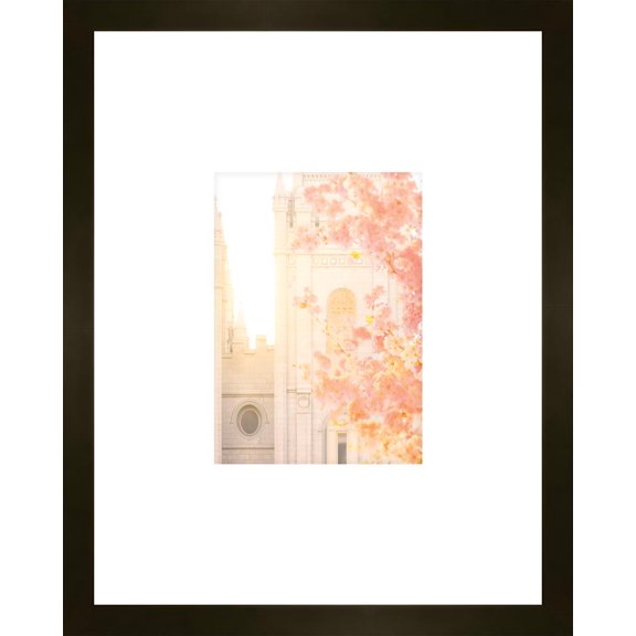 11 X 14 Salt Lake Blossom Glow Faux Mat by Alan Fullmer