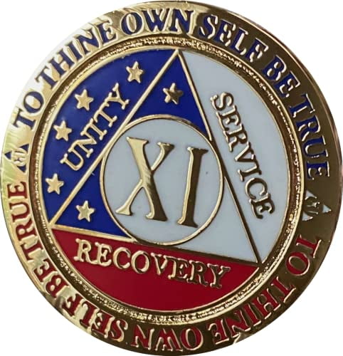 TEVIROOM 11 Year AA Medallion Reflex Red White Blue Patriotic Gold Plated Color Chip Stars