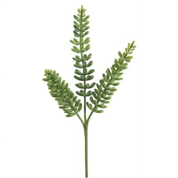 11 in. Donkey Tail Spray Green- Case of 12