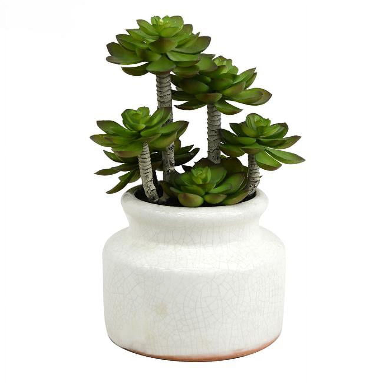 11" Green Faux Succulent in White Ceramic Pot