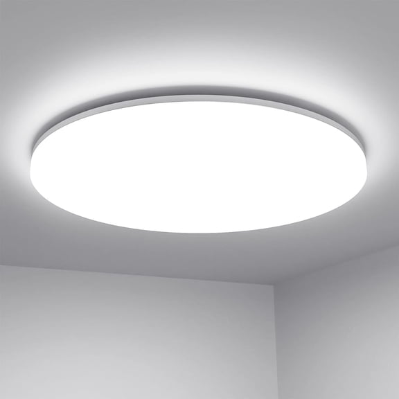 10 inch Ceiling Light Flush Mount, 12W Dimmable LED Ceiling Light Fixture, Drum Light Fixture Ceiling Mount, Modern Ceiling Lights for Living Room, Dining Room, Bedroom, Hotel, Office