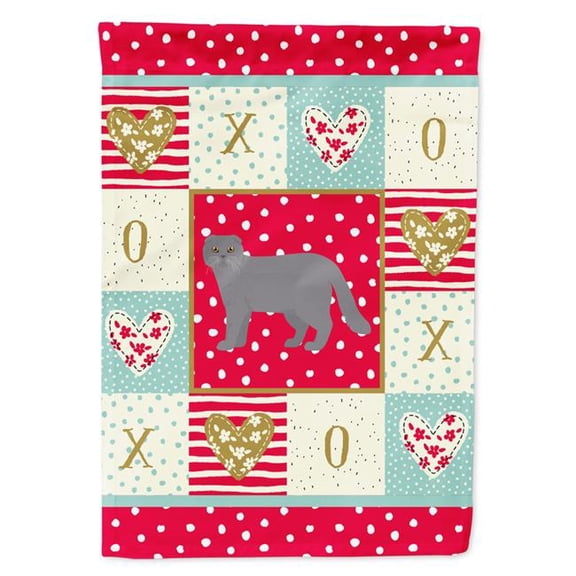 11 x 0.01 x 15 in. Scottish Fold No.1 Cat Love Garden Flag