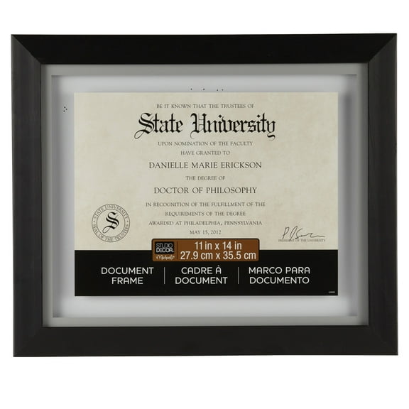 11" x 14" Black Document Float Frame by Studio Decor