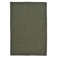 thumbnail image 1 of 11 x 14 ft. Courtyard Rectangular Area Rug, Olive, 1 of 1