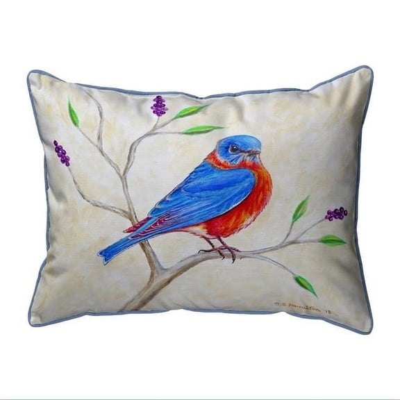 11 x 14 in. Dicks Blue Bird Small Indoor & Outdoor Pillow