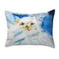 thumbnail image 1 of 11 x 14 in. Junior the Cat Small No-Cord Pillow, 1 of 1