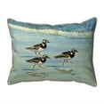thumbnail image 1 of 11 x 14 in. Ruddy Turnstones Indoor & Outdoor Pillow, Small, 1 of 1