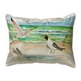 thumbnail image 1 of 11 x 14 in. Seagulls Small Indoor & Outdoor Pillow, 1 of 1