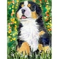 thumbnail image 1 of 11 x 15 In. Bernese Mountain Dog Flag, Garden Size, 1 of 1