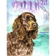thumbnail image 1 of 11 x 15 in. American Water Spaniel Flag Garden Size, 1 of 1